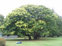 Albums/20060200-New Zealand 2006/20060201-Christchurch/30